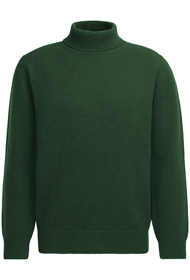 Pullover  col roul, 'Super Geelong', vert